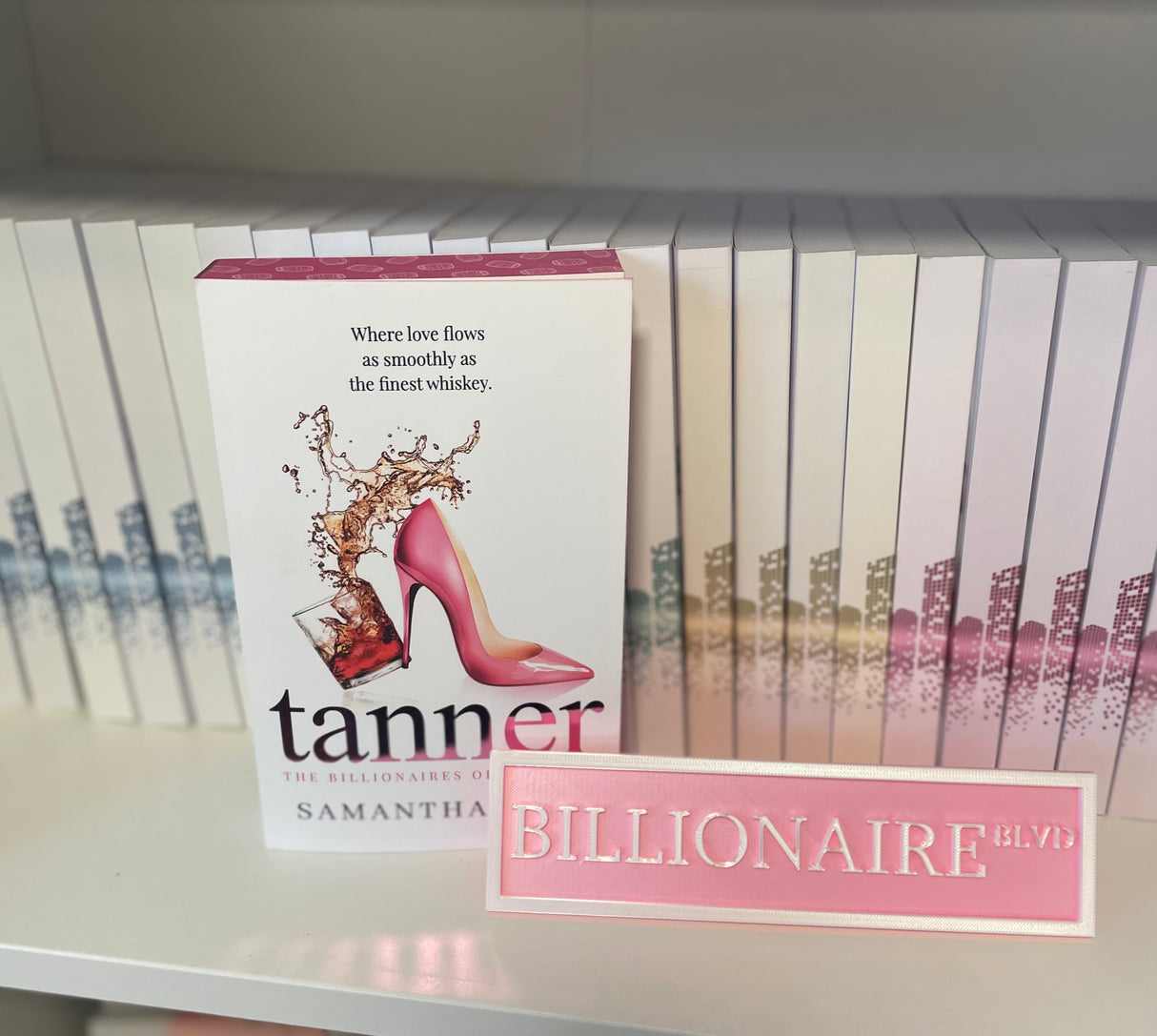 Billionaire Blvd Library Shelf Sign