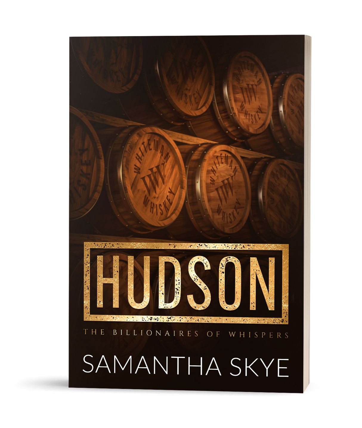 Hudson - Alternative Paperback