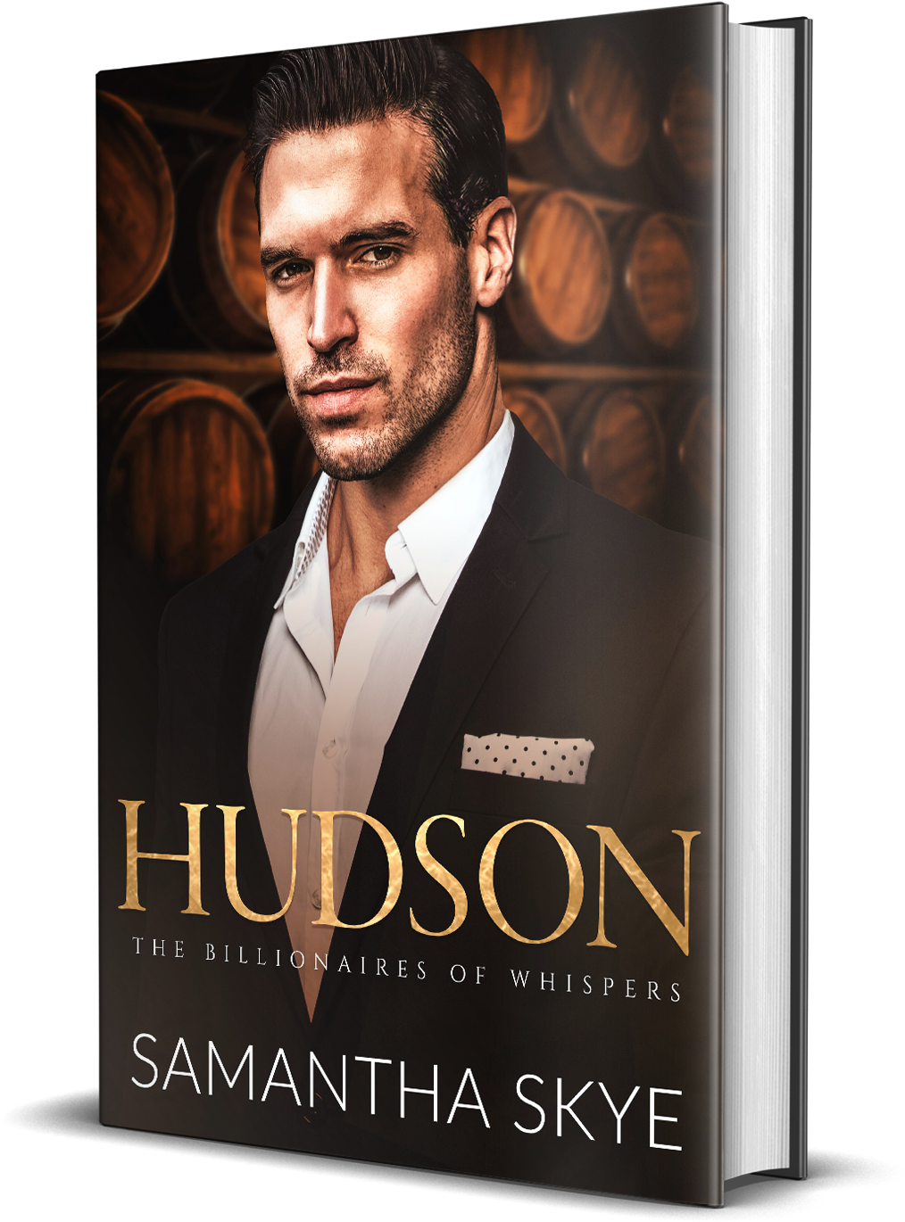 Hudson - Paperback